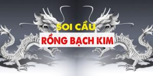 Soi Cầu Rồng Bạch Kim